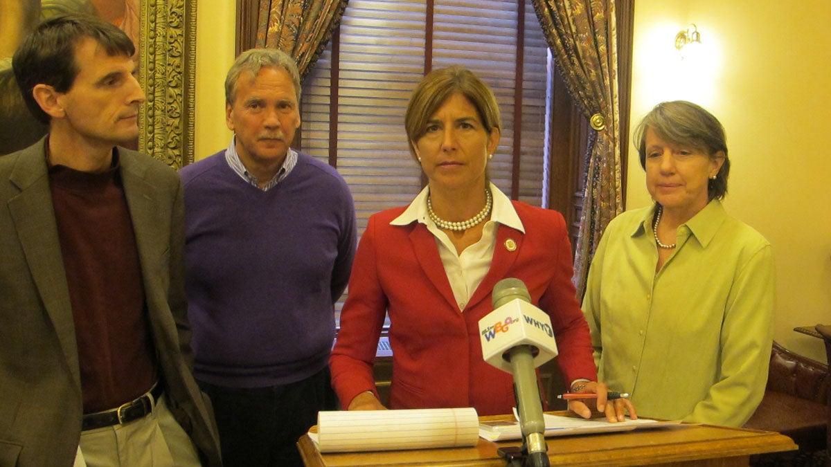  New Jersey Sen. Jennifer Beck speaks out against construction of a  liquefied natural gas facility off the North Jersey coast. (Phil Gregory/WHYY) 