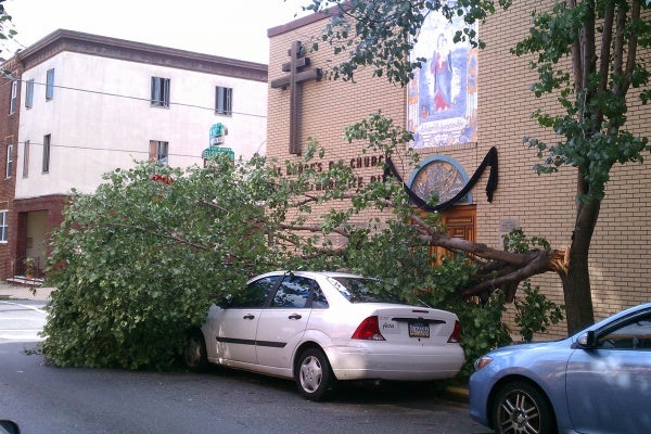 Downed trees, such as this one in Philadelphia, were common sights in Delaware, Pennsylvania and New Jersey after Hurricane Irene. (Peter Crimmins/For NewsWorks)