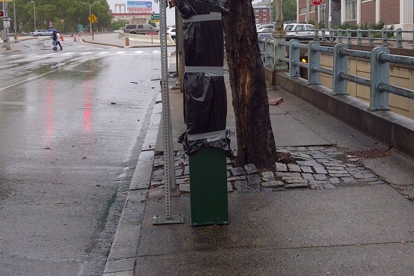 A parking payment station in Center City Philadlephia is wrapped in plastic.  The city is offering free parking during the hurricane. (Tom MacDonald/For NewsWorks)