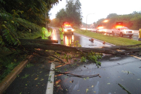 DelDOT crews work to remove a tree that had fallen at Route 202 southbound at the entrance to I-95 in Wilmington. (John Jankowski/for newsworks)