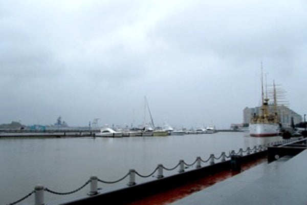 Water levels appeared to loo a little higher on the Delaware River Sunday in Center City, Philadelphia. (Kimberly Paynter/For NewsWorks)