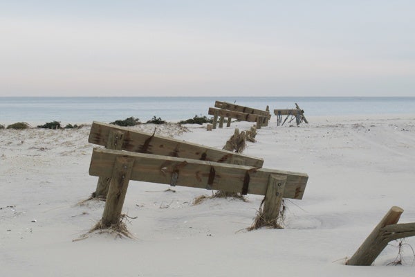 <p><p>Fishermen's Walk boardwalk in Island Beach State Park was destroyed by Sandy. (Phil Gregory/for NewsWorks)</p></p>
