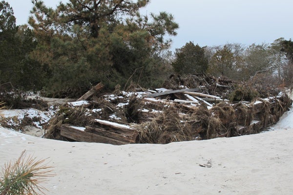 <p><p>A 40-foot-long barge that wahed ashore in a 1992 storm and had been buried beneath a dune was pushed half a mile into the park woodlands by Sandy's storm surge. (Phil Gregory/for NewsWorks)</p></p>
