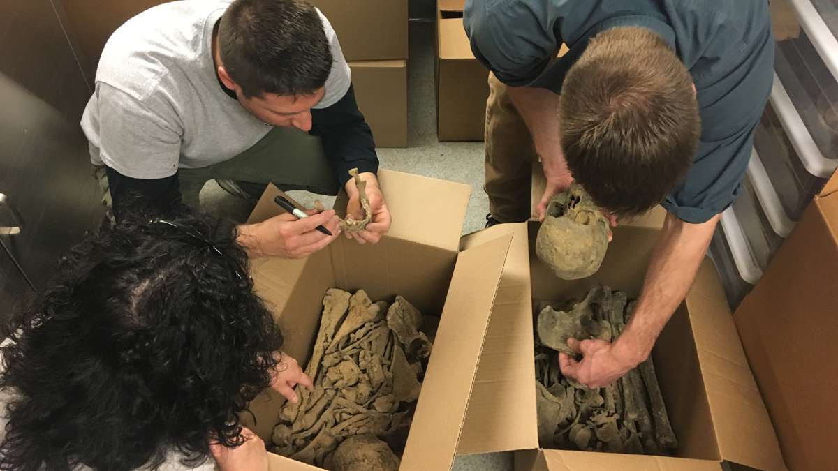  Anthropologists and archaeologists meet at Kimberlee Moran's lab at Rutgers-Camden to review some of the remains excavated from 218 Arch St. in Philadelphia last month.  (Elana Gordon/WHYY) 