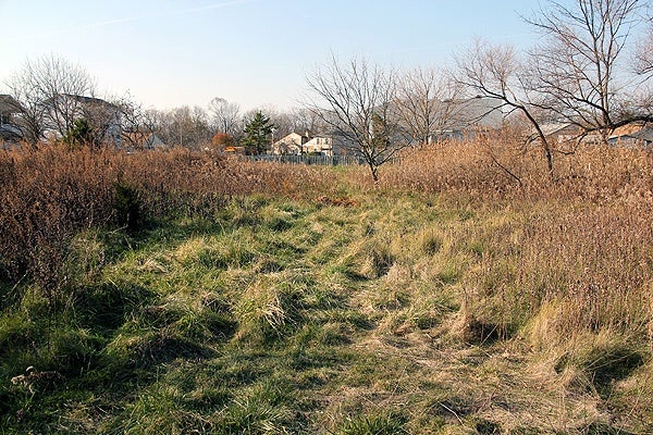 <p>Korman Residential has plans to build a 722-unit apartment complex in Eastwick near near John Heinz Wildlife Refuge, but existing zoning allows for single-family housing only. (Emma Lee/for NewsWorks)</p>
