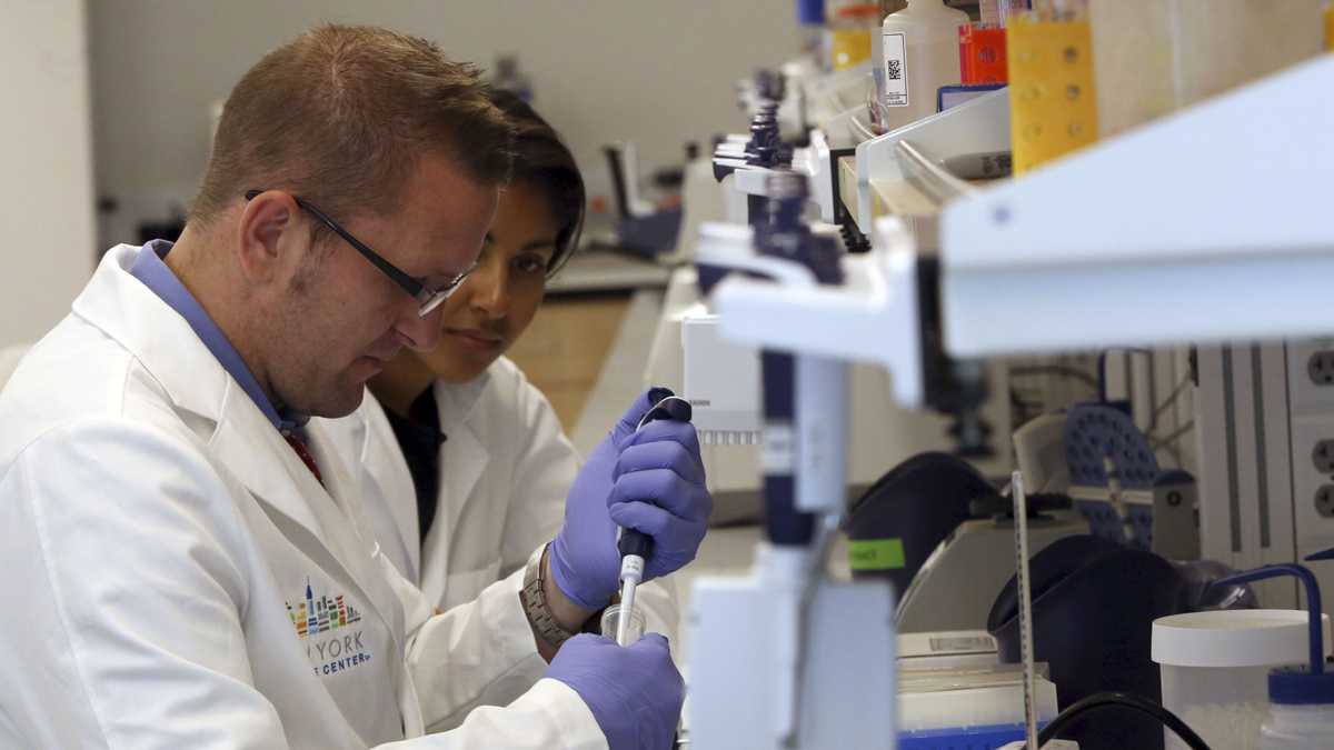  Research technicians prepare DNA samples in a lab (Mary Altaffer/AP Photo, file)  
