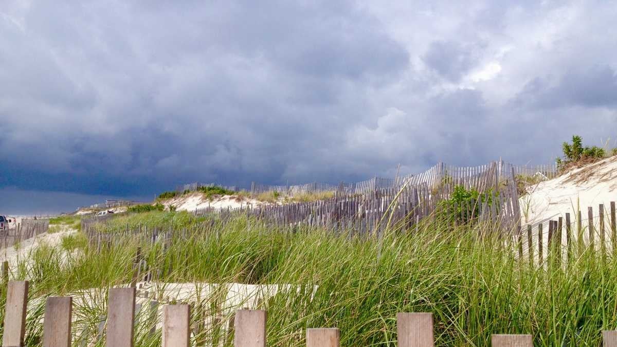  A South Seaside Park dune in 2015. (Justin Auciello for NewsWorks) 
