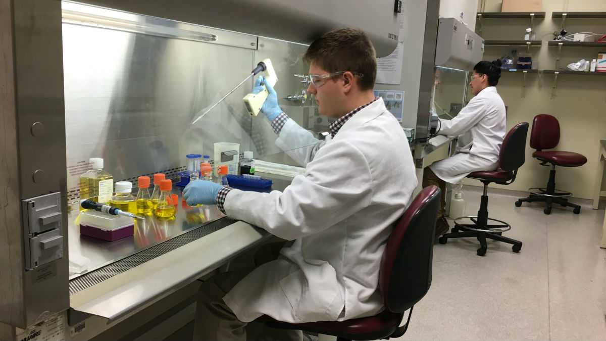  Ph.D. students at the University of Delaware work in a lab at the Delaware Biotechnology Institute in Newark. (File/WHYY) 