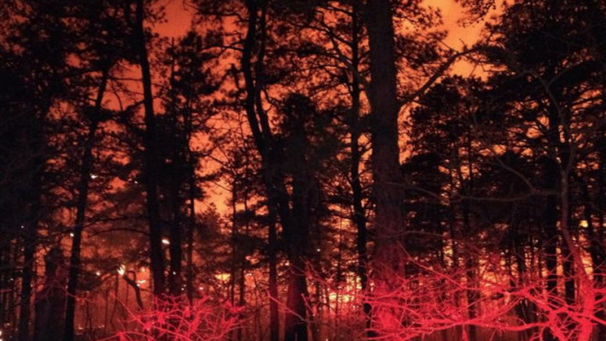 File photo from a forest fire in New Jersey in 2014. (Courtesy of the New Jersey Forest Fire Service)