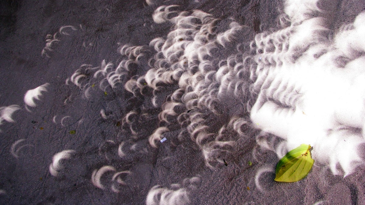 Light filtering through the leaves of trees during a solar eclipse creates images of the crescent sun, like the image created by a pinhole camera. (Bigstock)