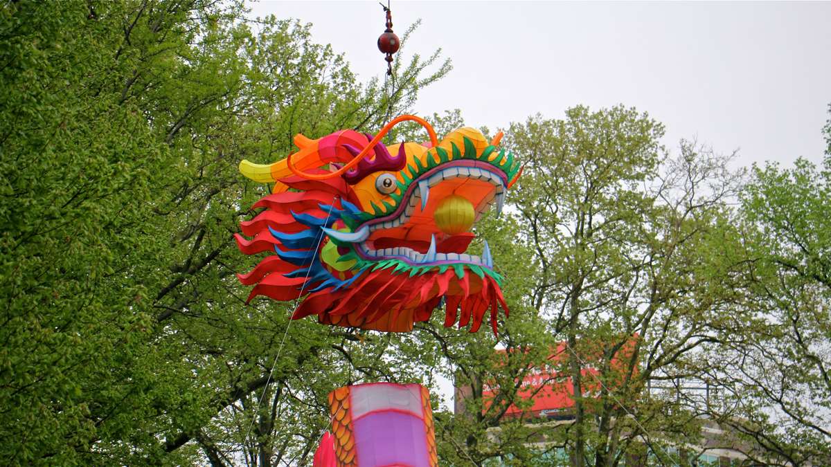 Workers use a crane to lower the head onto a giant dragon lantern, the centerpiece of the Chinese Lantern Festival at Franklin Square Park.