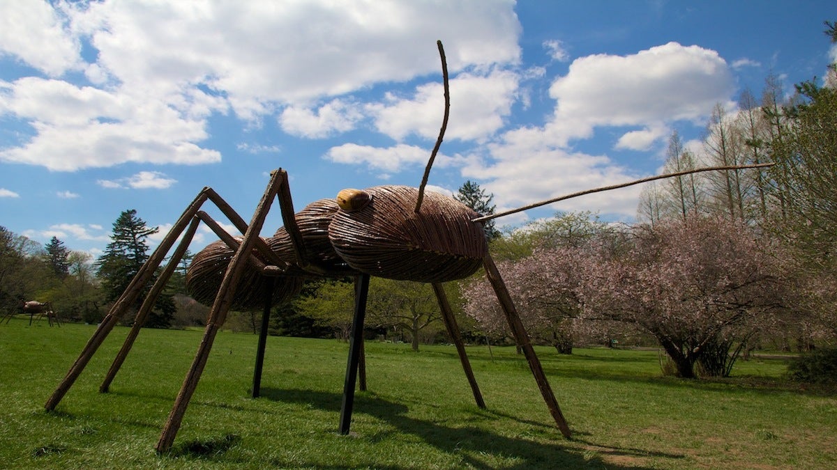  The tastings will be available throughout the Arboretum's ongoing Big Bugs sculpture exhibit. (Jana Shea/for NewsWorks, file) 