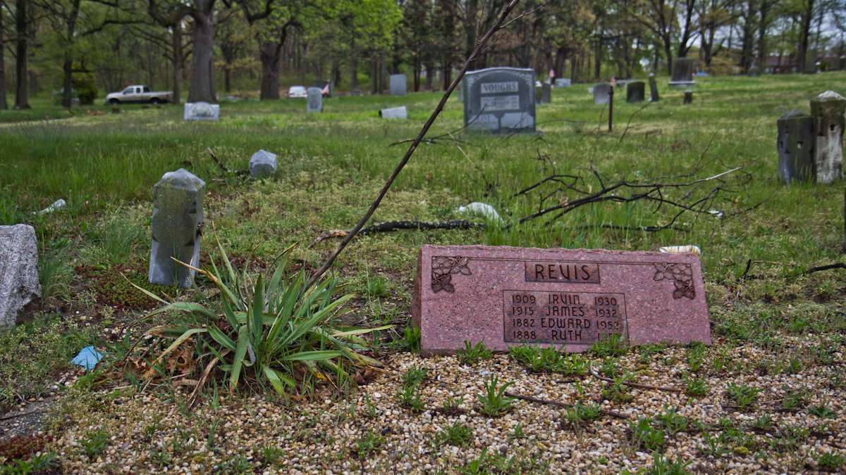 Yucca plants are planted marking and around graves at Mt. Peace Cemetery in Lawnside, N.J.