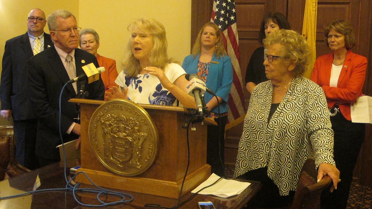 Lawmakers and nursing advocates call for action to relieve the backlog in approving nursing licenses and home health-aide certifications.