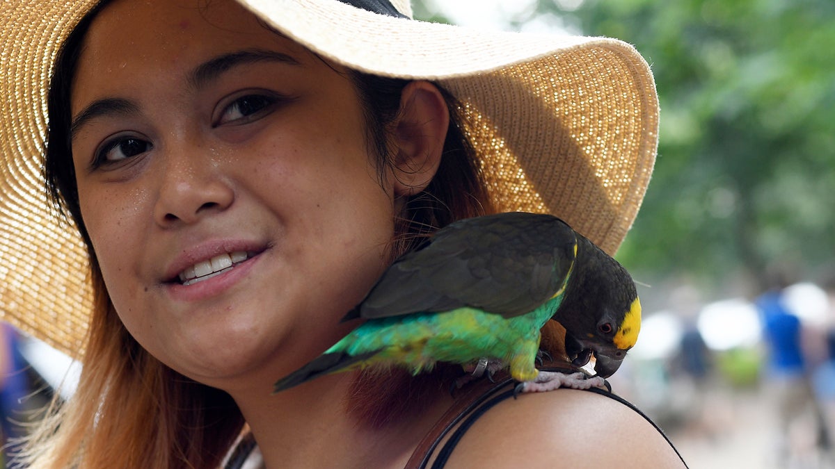 Kristin Buenaventura, of West Philadelphia, smiles as her pet-bird Pepino sits on her shoulder at the annual Clark Park Festival in West Philadelphia, On Saturday July 7th, 2017. (Bastiaan Slabbers for NewsWorks)