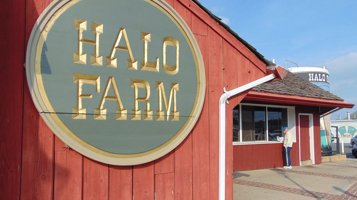   A customer peers through the picture windows at Halo Farm Thursday afternoon to see the packaging process at the creamery. (Dana DiFilippo/WHYY) 