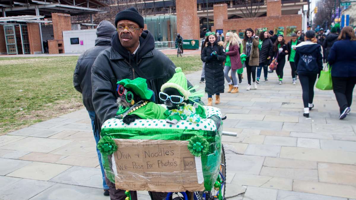 Anthony Smith of Philadelphia walks with his dogs Diva and Noodles during the 2017 Saint Patrick's Day Parade.