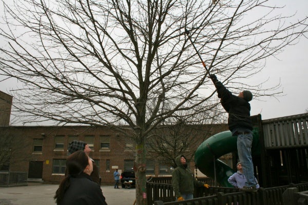 <p><p>Lee Gould removes some trash from a tree at Henry H. Houston's playground during a Martin Luther King Day of Service project on Monday. (Lane Blackmer/for NewsWorks)</p></p>
