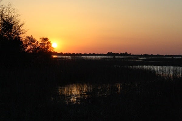 <p><p>The sun rises just above the horizon at Prime Hook National Wildlife Refuge. (Mark Eichmann/WHYY)</p></p>
