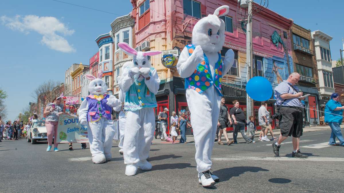 A contingent of a half dozen rabbits do the bunny hop along South Street.