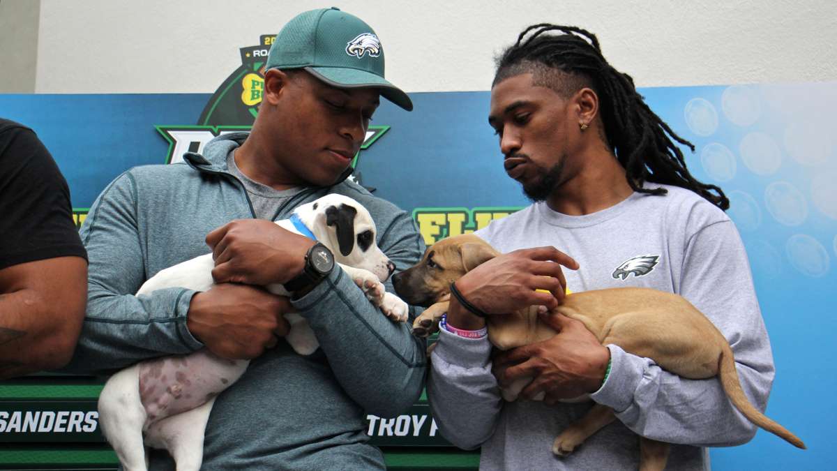 Eagles players Terrill Watson (left) and Ron Brooks hold puppies during the Puppy Bowl draft at Morris Animal Refuge in South Philadelphia.