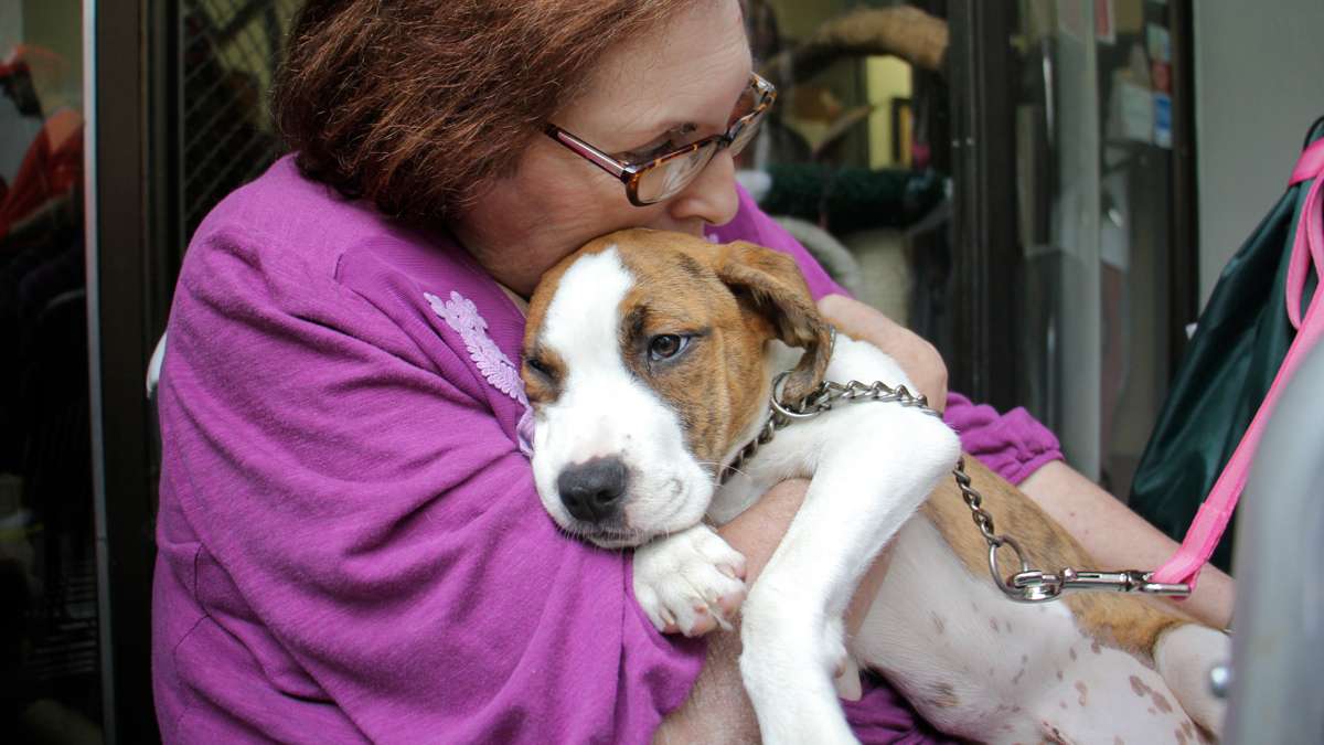 Joann Mauer cuddles the puppy she just adopted from the Morris Animal Refuge in South Philadelphia.