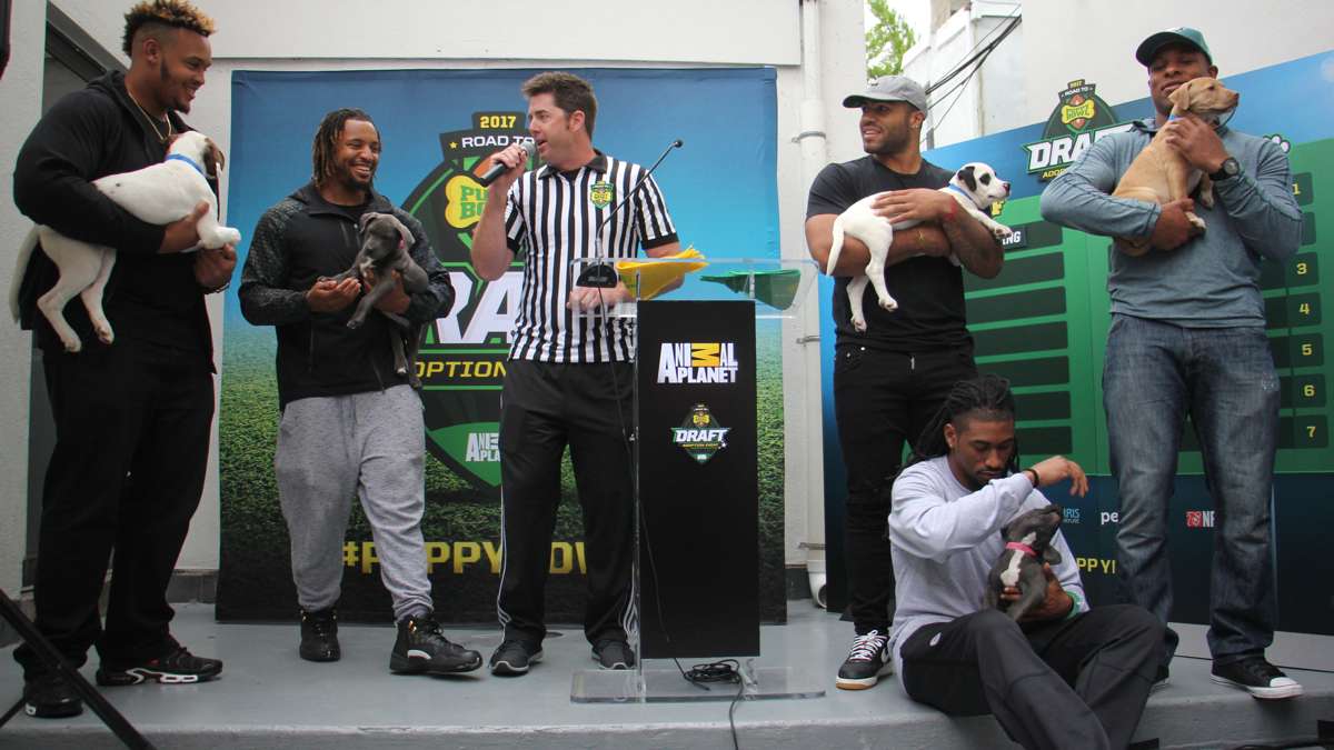 NFL draft prospect Dion Dawkins (left) of Temple, joins Eagles players (from left) Najee Goode, Ron brooks (seated), Mychal Kendrick, and Terrell Watson for a tongue-in-cheek Puppy Bowl draft staged by Animal Planet at Morris Animal Refuge in South Philly.