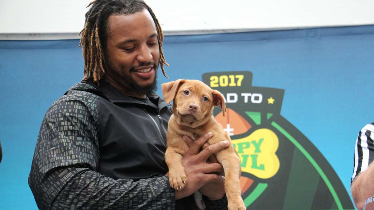 Najee Goode holds his selection in the Puppy Bowl draft.