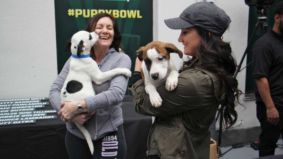 Marcy Castelli (right) and her mother Phyllis Valentino (left) fostered six of the puppies offered for adoption at Morris Animal Refuge.