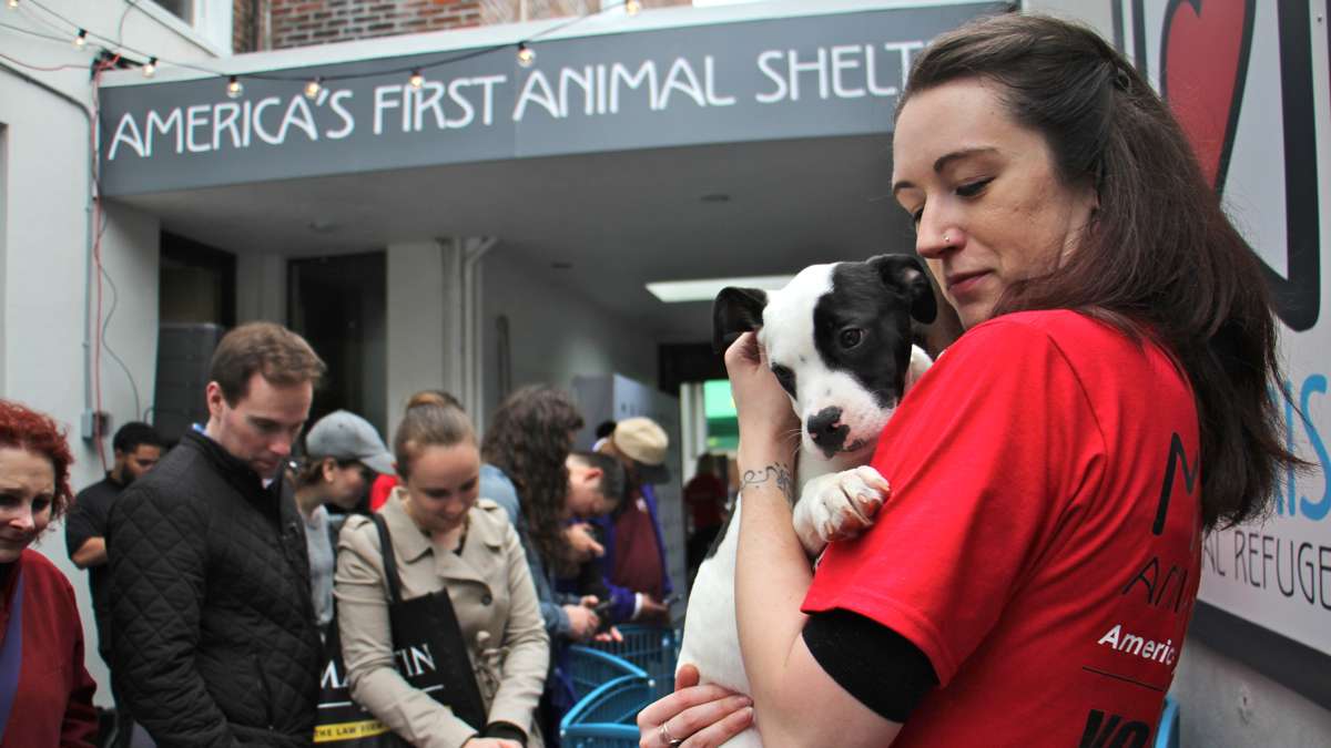 Morris Animal Refuge volunteer Nicole Minium calms a puppy during the shelter's ''Puppy Draft'' adoption event.