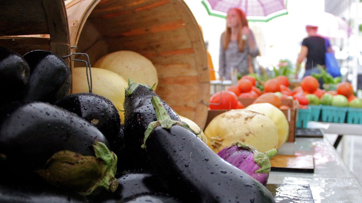  Record rain in June and July has had mixed results for local farmers. (Emma Lee/for NewsWorks) 