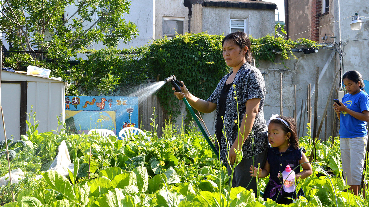  As the community garden is entering its fourth year, residents have gradually developed a stronger sense of responsibility for their own plots.  (William Hao-Wei Yang/for NewsWorks) 
