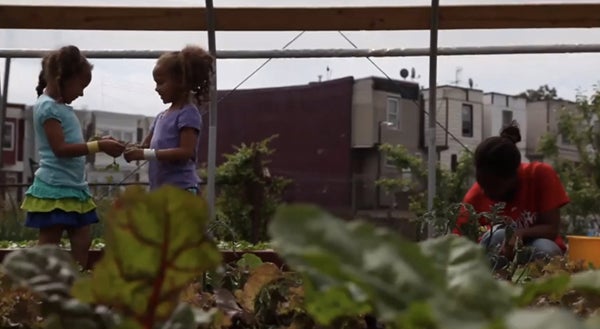  SHARE’s large community garden, Nice Roots Farm, provides locally-grown fresh produce to their immediate neighbors in North Philadelphia. 