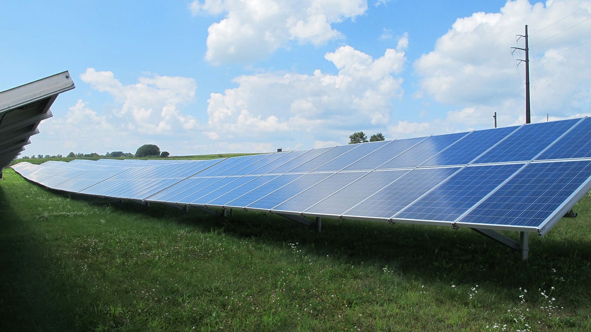  The Hankin Group's two megawatt solar farm in Berks County. (Marie Cusick/StateImpact Pennsylvania) 