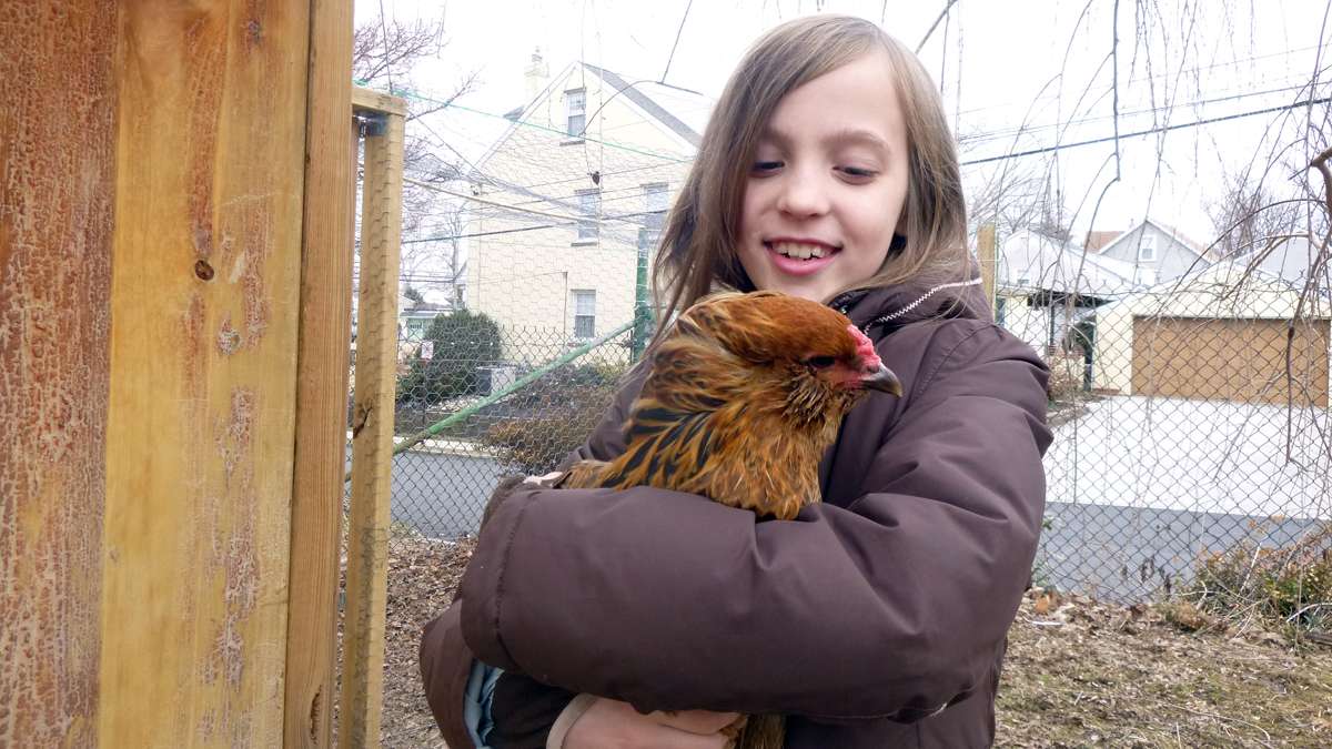 Marlena Marg-Bracken, 9, with Snuggles the chicken, who is blind in one eye and who lays beautiful bluish-green eggs. (Jennifer Lynn/WHYY)
