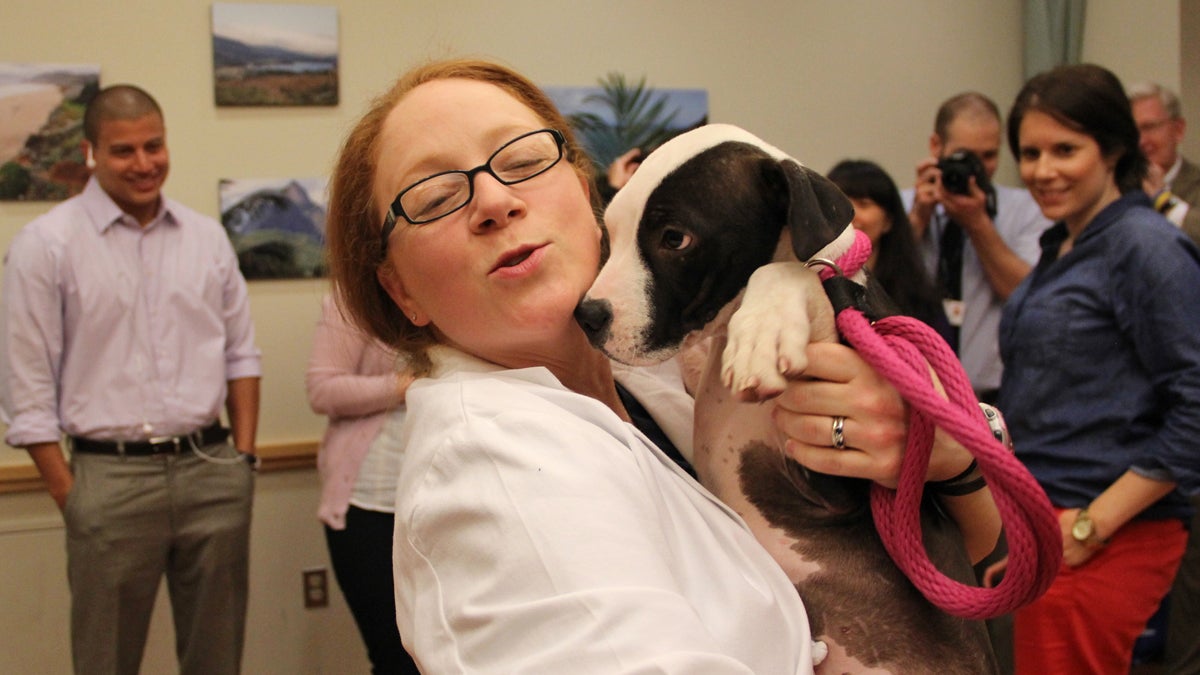  Heather Matthew, who leads Penn's emergency room nurses, saw that therapy dogs helped staff as well as patients. (Emma Lee/for NewsWorks) 