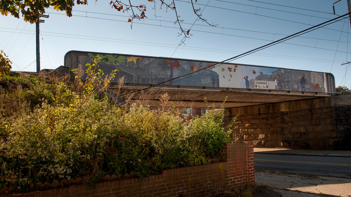  One side of the completed mural on West Mt. Pleasant Avenue near Lincoln Drive. (Tracie Van Auken/for NewsWorks) 