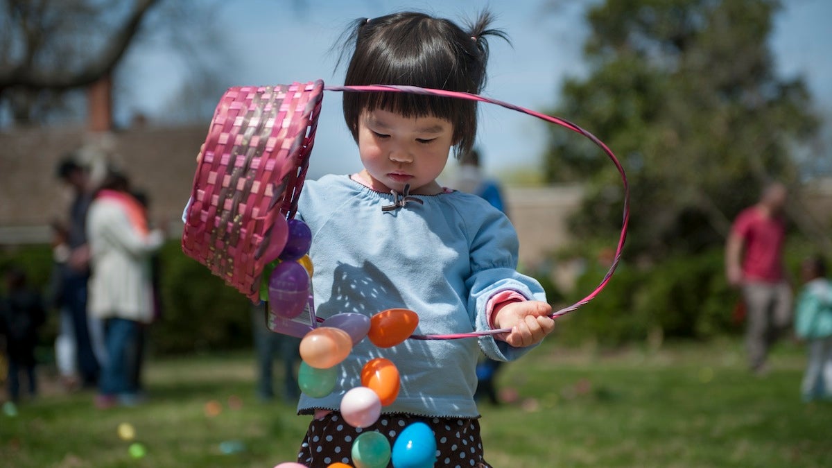 Sophie Liu, 2, of Lower Merion, dumps her eggs during the Easter egg hunt at Stenton House Saturday afternoon.