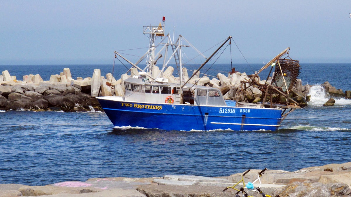 A commercial scallop fishing boat enters the Manasquan Inlet in Point Pleasant, N.J.  (Wayne Parry/AP Photo, File) 