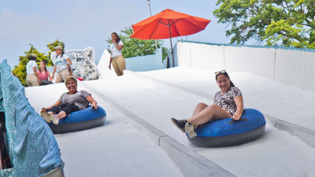 The Winter exhibit features a snow-covered slide for tubing.