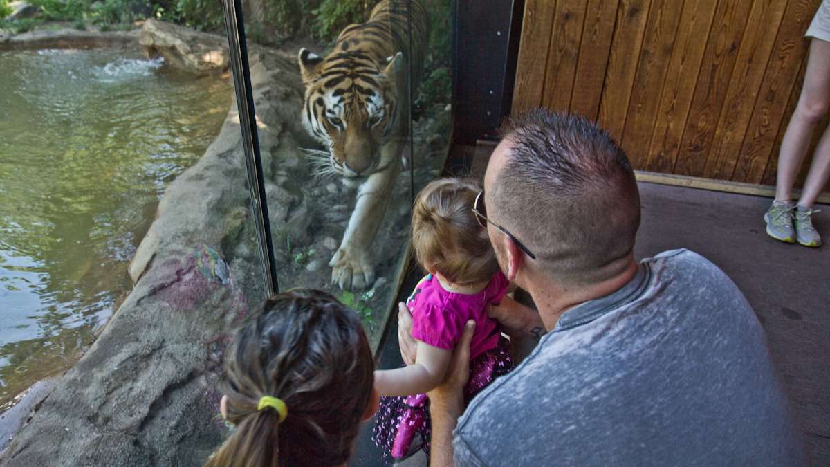 Abigail Colborn celebrates her first birthday with her dad, Bill, and a Siberian tiger.