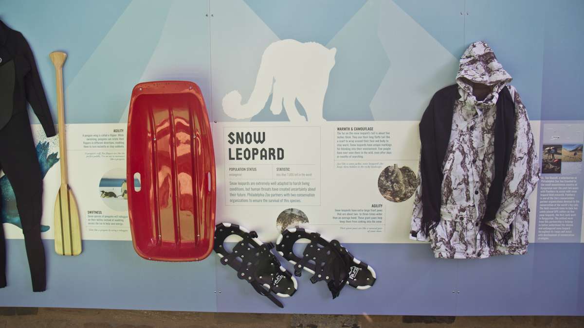 The adaptation wall compares human and animal experiences with the cold.