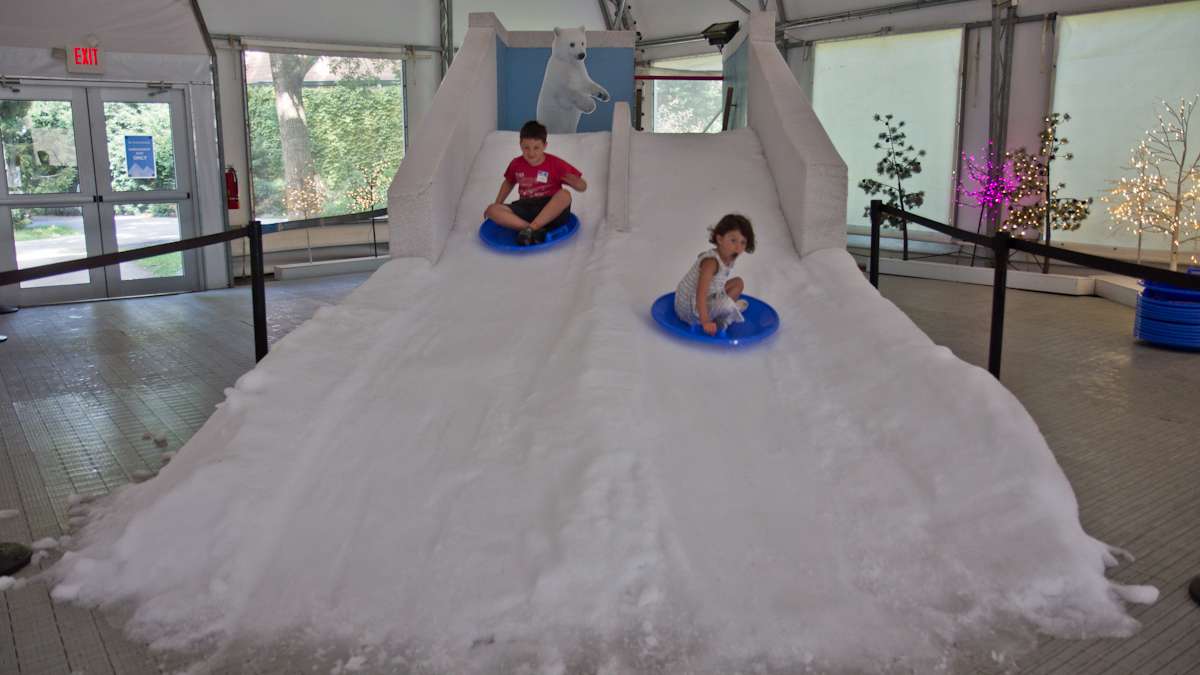 Gavin Riordan, 7, and Molly Riordan, 5, slide down the little kids snow hill at the Winter exhibit.