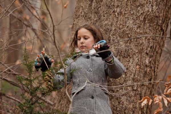 <p><p>Emma Detwiler, 9, of Chestnut Hill hangs a treat for an animal in a tree just off the Forbidden Drive at the Winter in the Wissahickon event hosted by the Friends of the Wissahickon. (Dave Tavani/for NewsWorks)</p></p>
