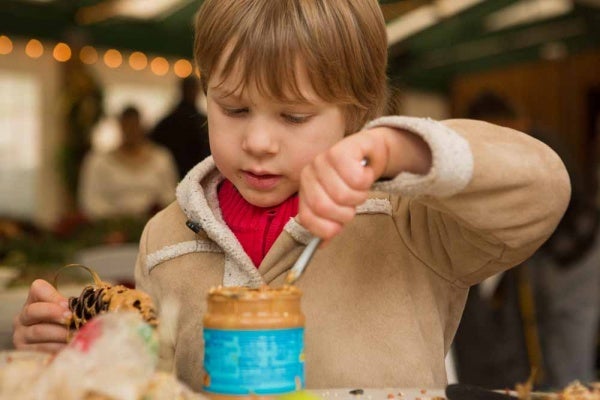 <p>Tobias Detwiler, 4, of Chestnut Hill spreads peanut butter on a pine cone to make a treat for animals at the Winter in the Wissahickon event hosted by the Friends of the Wissahickon. (Dave Tavani/for NewsWorks)</p>
