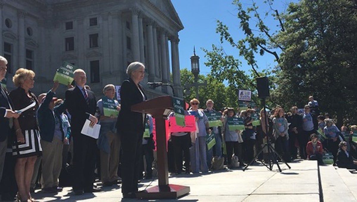 Members of Fair Districts PA, which advocates for redistricting reform, rally on the Capitol steps. (Katie Meyer/WITF) 