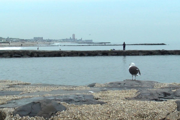 <p><p>A bird and a man take in the scene between Belmar and Avon By the Sea. (Alan Tu/WHYY)</p></p>
