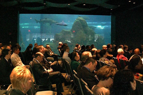 <p><p>The Adventure Aquarium in Camden allows those listening the mayor to also watch the sharks. (Alan Tu/WHYY)</p></p>
