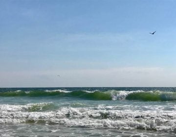 South Seaside Park in August 2017. (Justin Auciello for WHYY) 