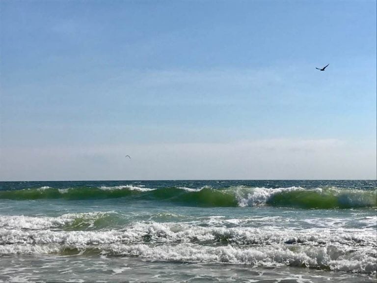 South Seaside Park in August 2017. (Justin Auciello for WHYY) 